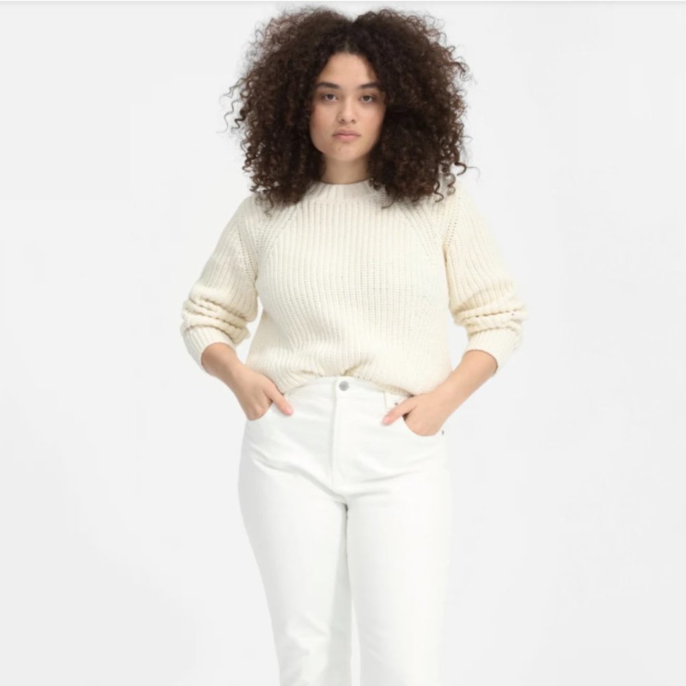 Everlane Textured Cotton Crew Sweater